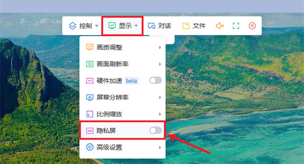 ToDesk(远程协助软件)