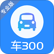 车300专业版v3.1.1.0 ios版