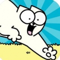 Simon’s Cat(西蒙的猫冲浪游戏)v1.4.0 最新版